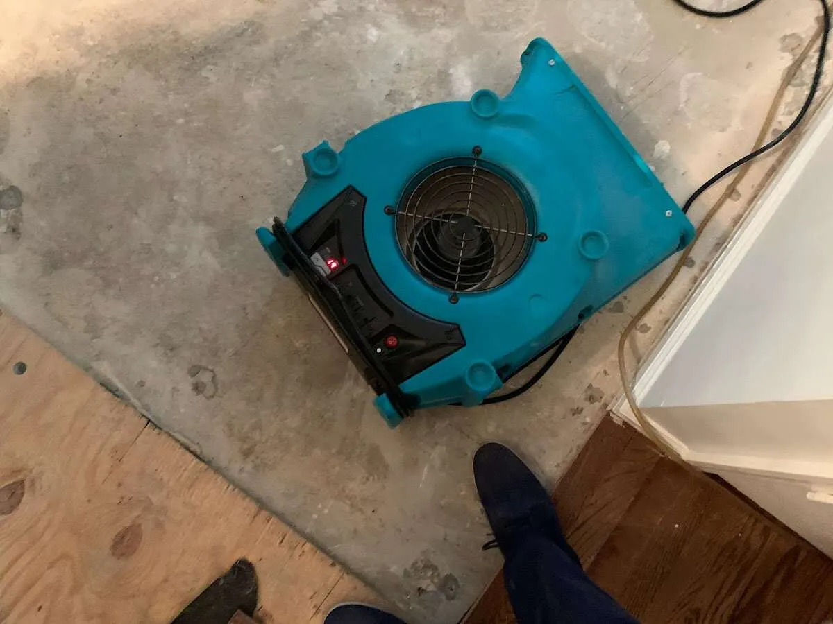 Air mover drying subfloor during Commercial Water Damage Restoration in Rotterdam
